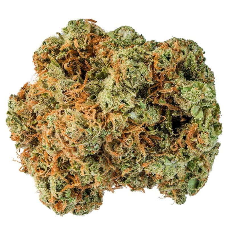 Jonny Chronic Acapulco Gold