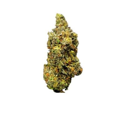 Pure Fire Co Forum Cut GSC
